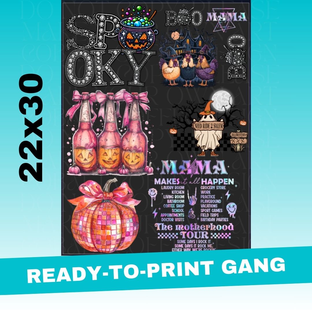 Claira's Picks- 22x30 PREMADE GANG