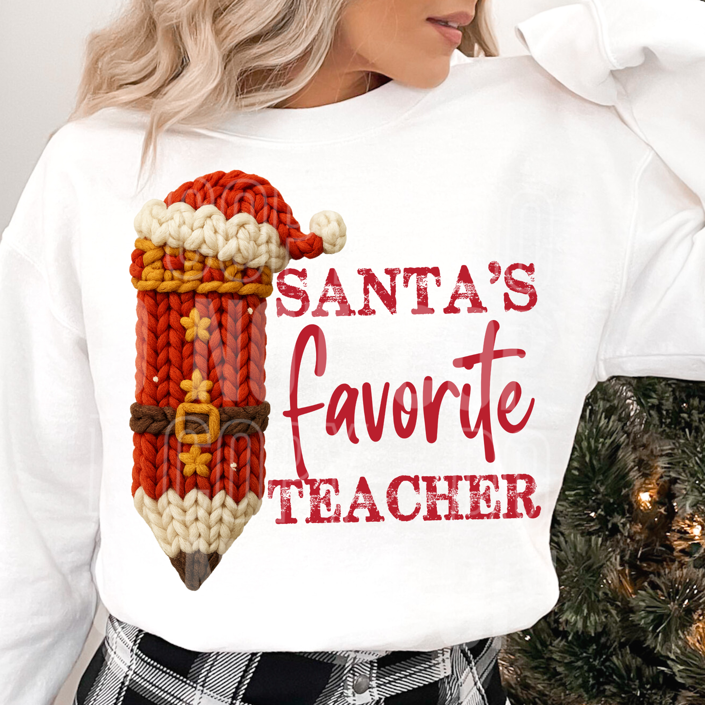 Santa's Favorite Teacher