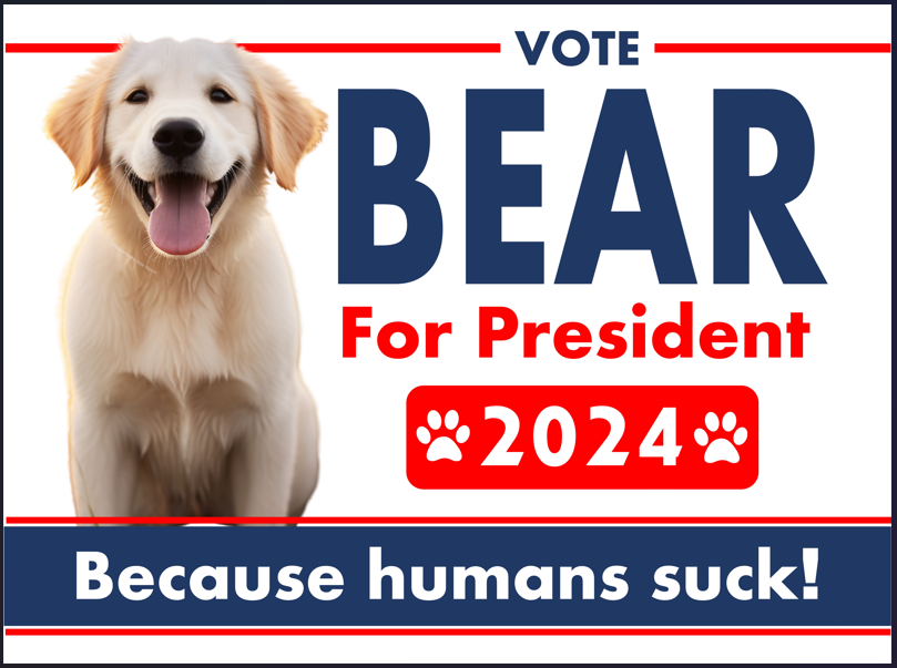 Bear For President