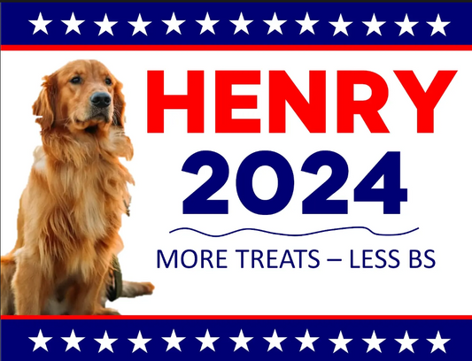 Henry For President