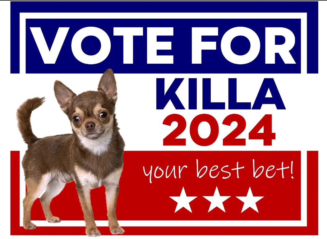 Vote for Killa