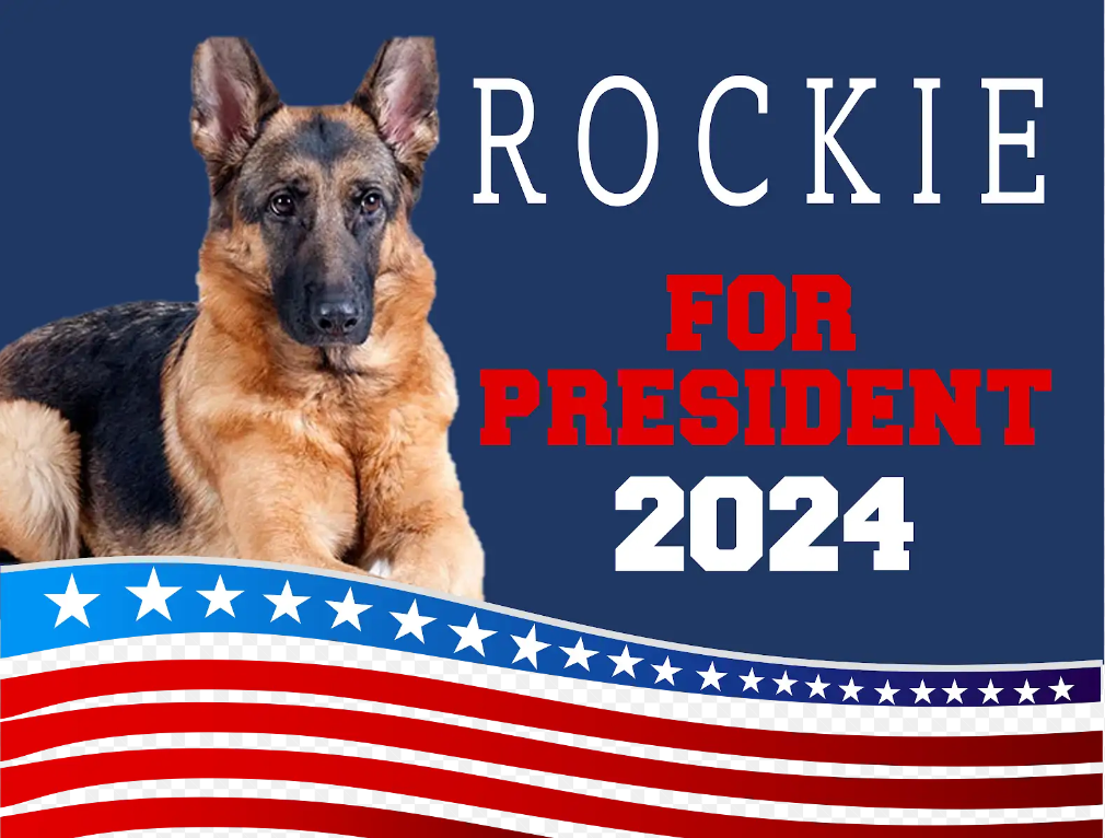 Rockie For President